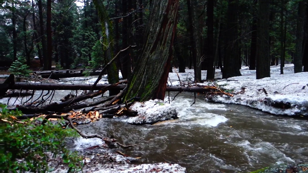 Yosemite Valley 1-8-17