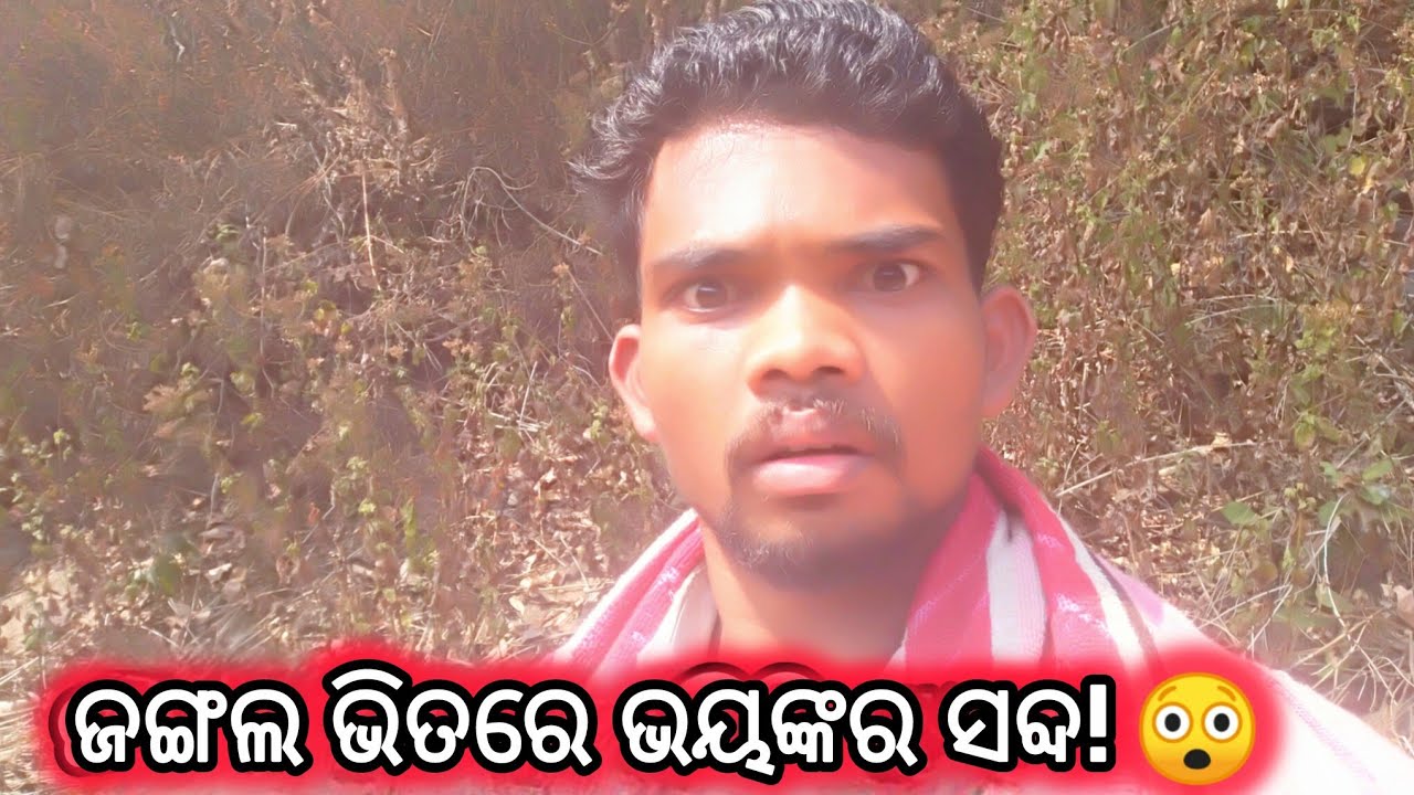 “ଜଙ୍ଗଲ ଭିତରେ ଏମିତି ଆୱାଜ ଆସୁଥିଲା… କିନ୍ତୁ ଦେଖିଲି କିଏ?” 😨