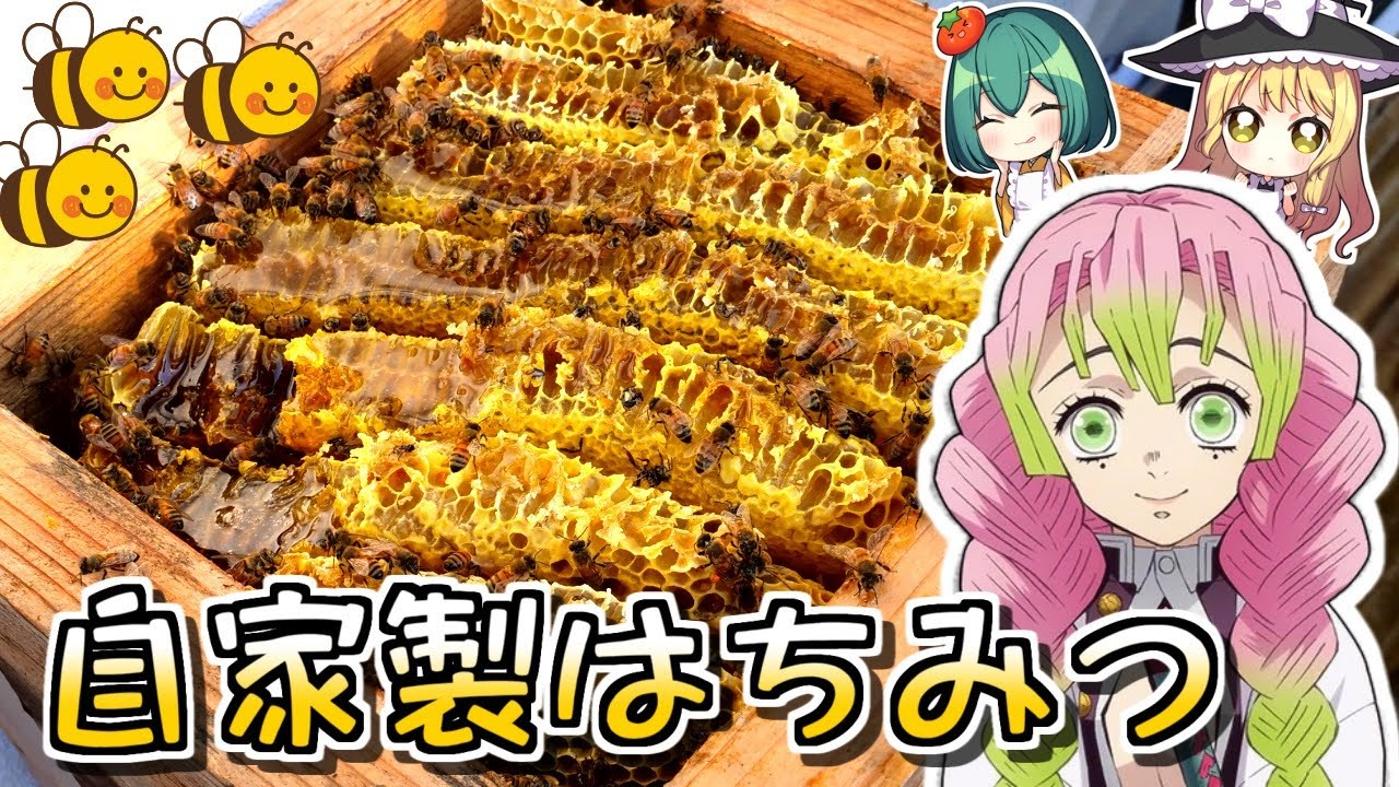 【鬼滅の刃】巣蜜パンケーキが半年たってやっと作れました…【ゆっくり実況】