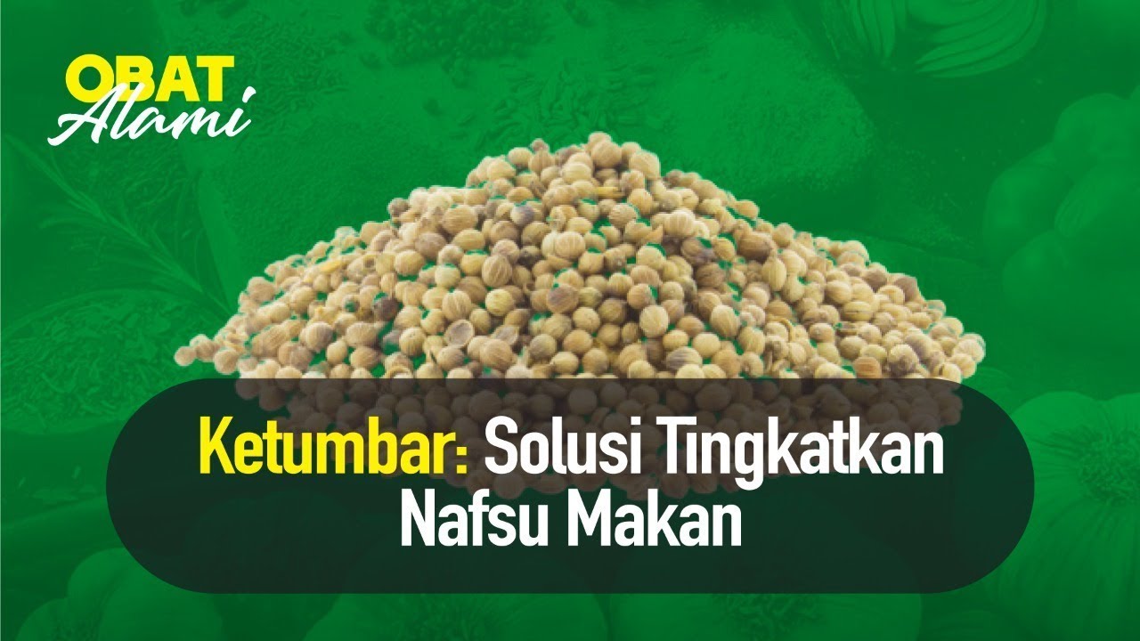 Obat Alami Ampuh Meningkatkan Nafsu Makan  | Hidup Sehat