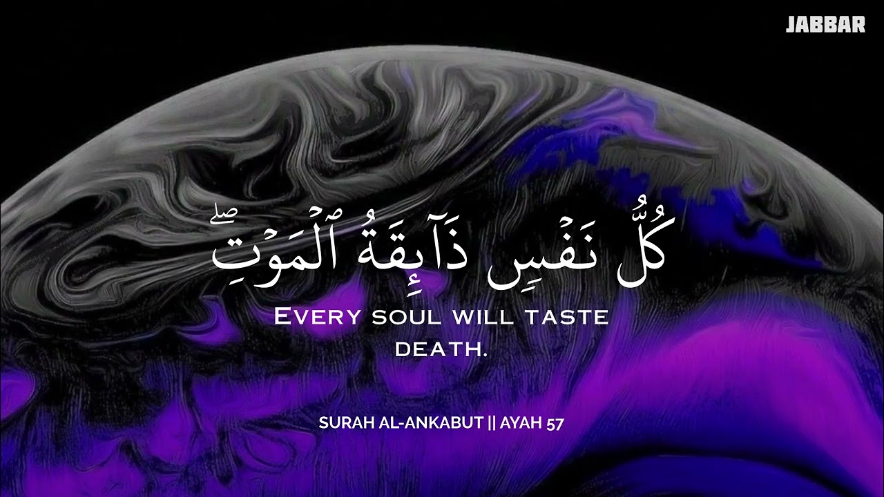 رح سمعك وقلبك بالقرآن❤️🎧 وأستمع لتلاوة هادئه بصوت محمد ديبيروف | راحة نفسية😌 | Muhammad Dibirov