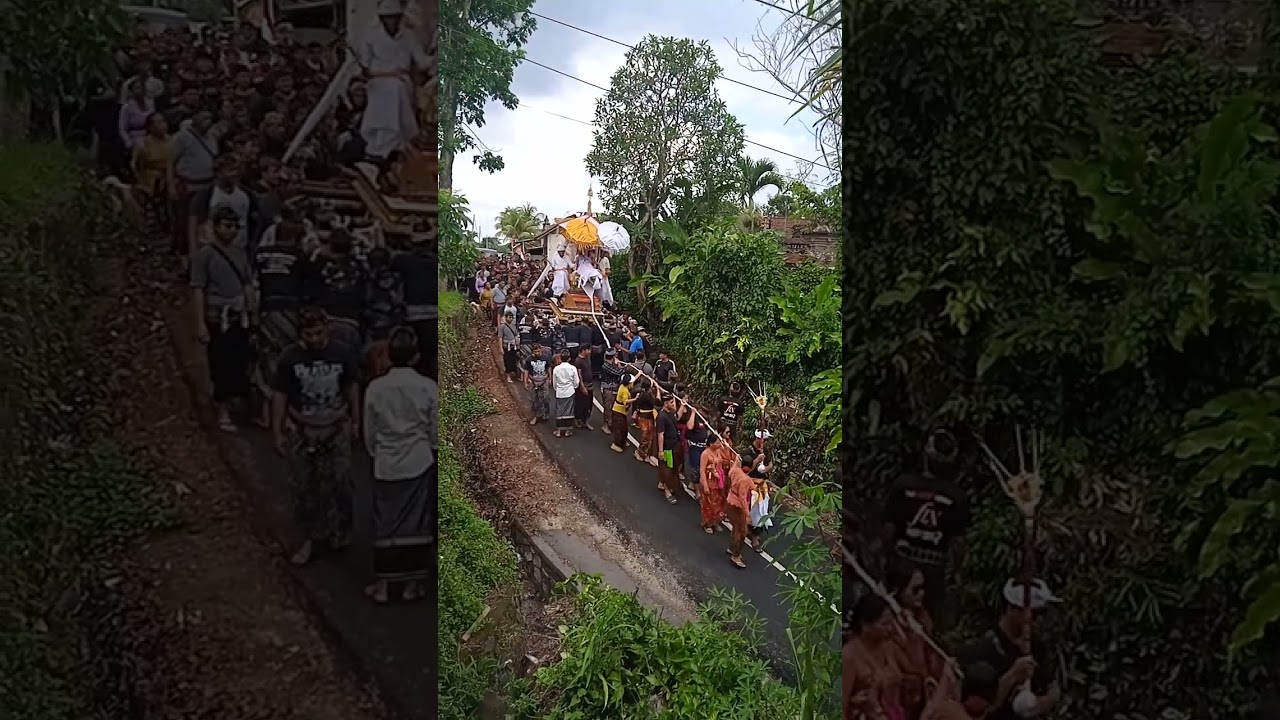 Ngaben Wadah Pakai Roda Turunan Extrim