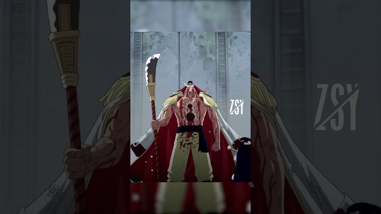 🗣️ The one piece is real!!!