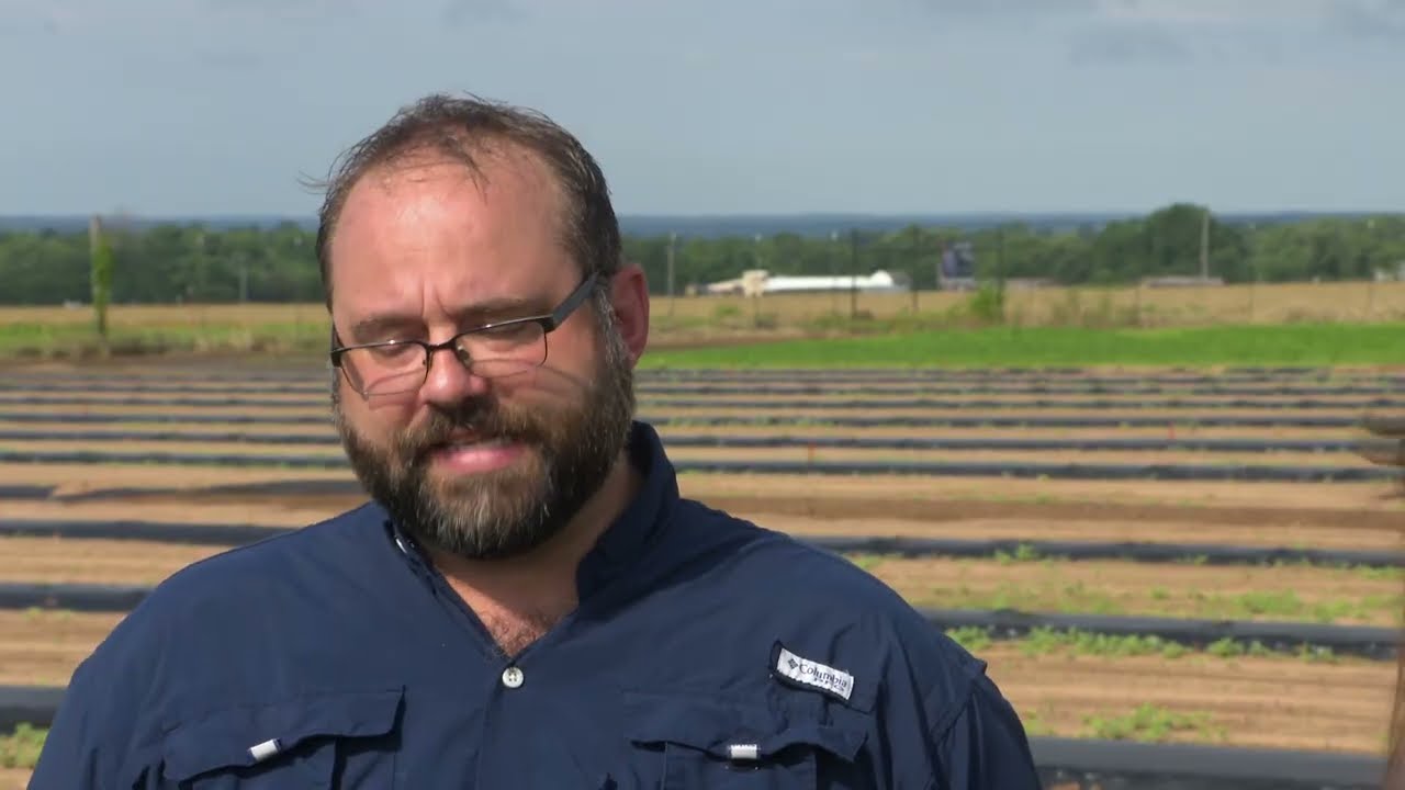 Can You Grow Garlic in Oklahoma?