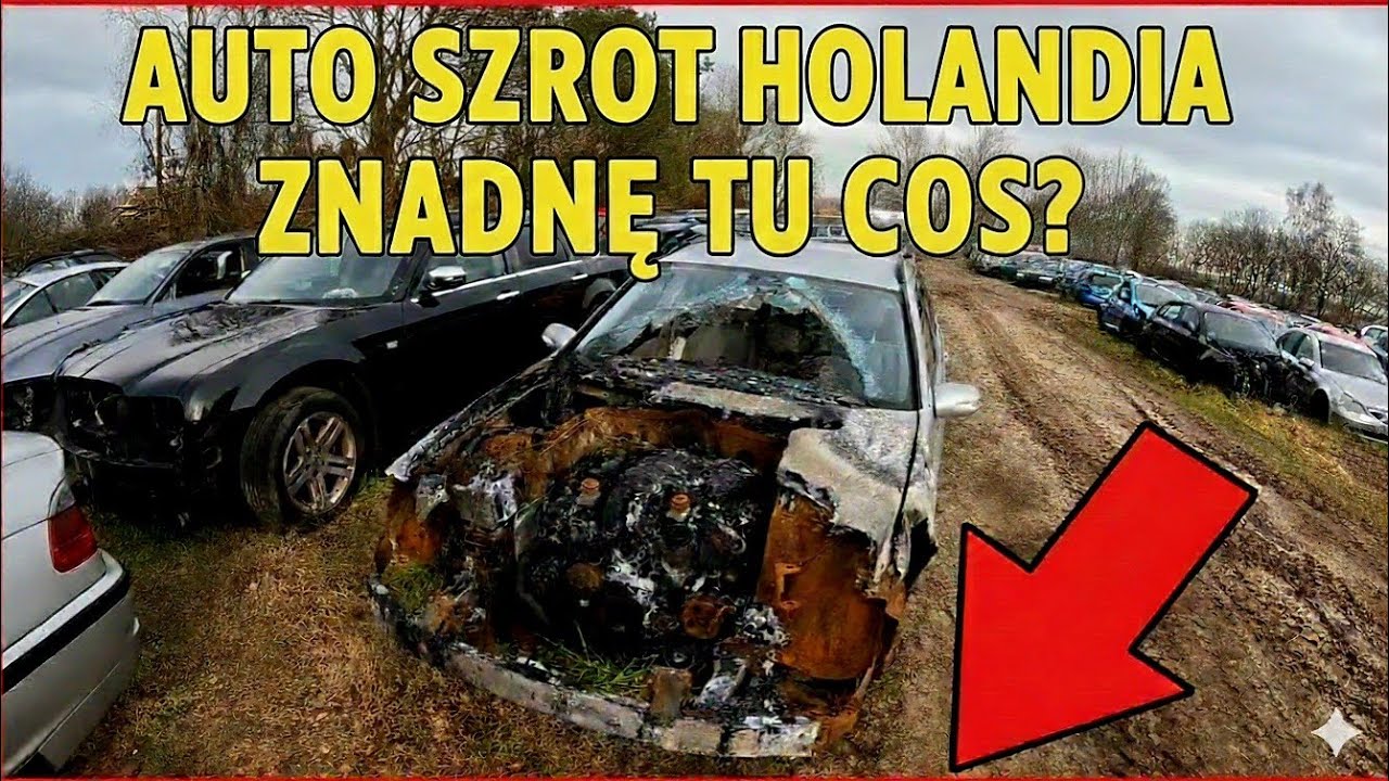 Holenderskie złomowisko samochodowe.