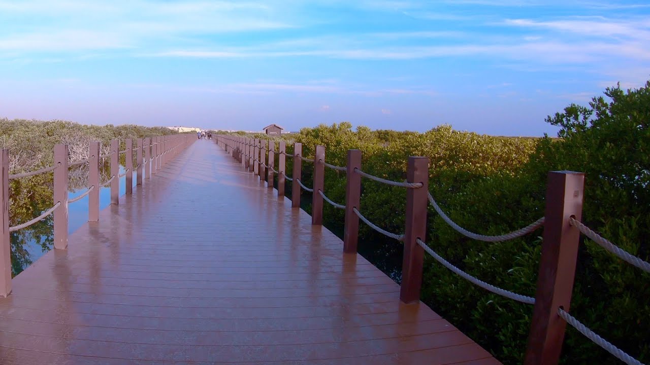 Purple Island Qatar Tour 2020 | #kameracinematika