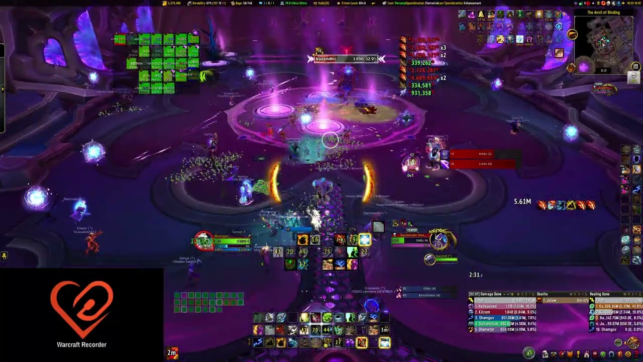 Elemental Shaman Soulbinder Naazindhri N Kill