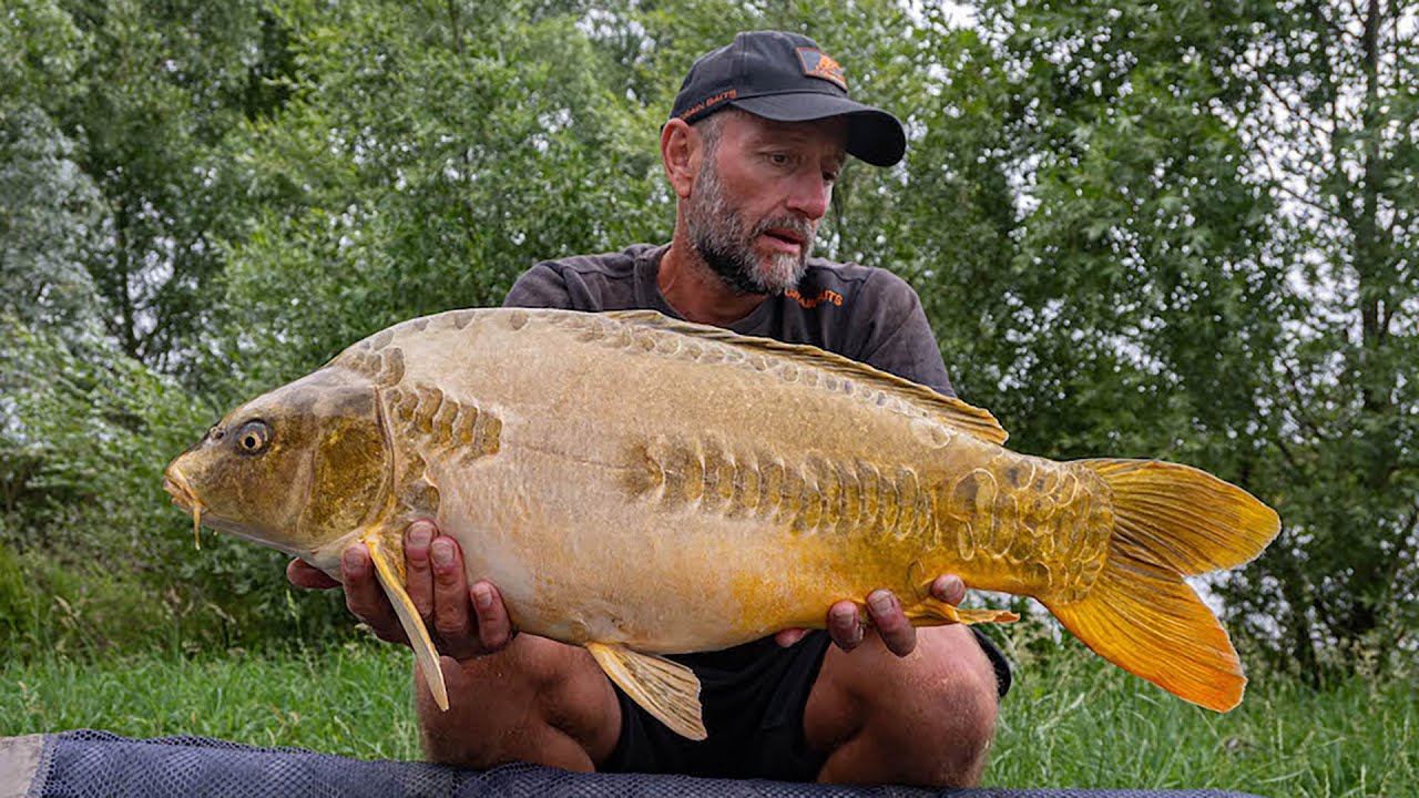 Tips & Tricks voor het karpervissen op betaalwater Fully’s Lake!