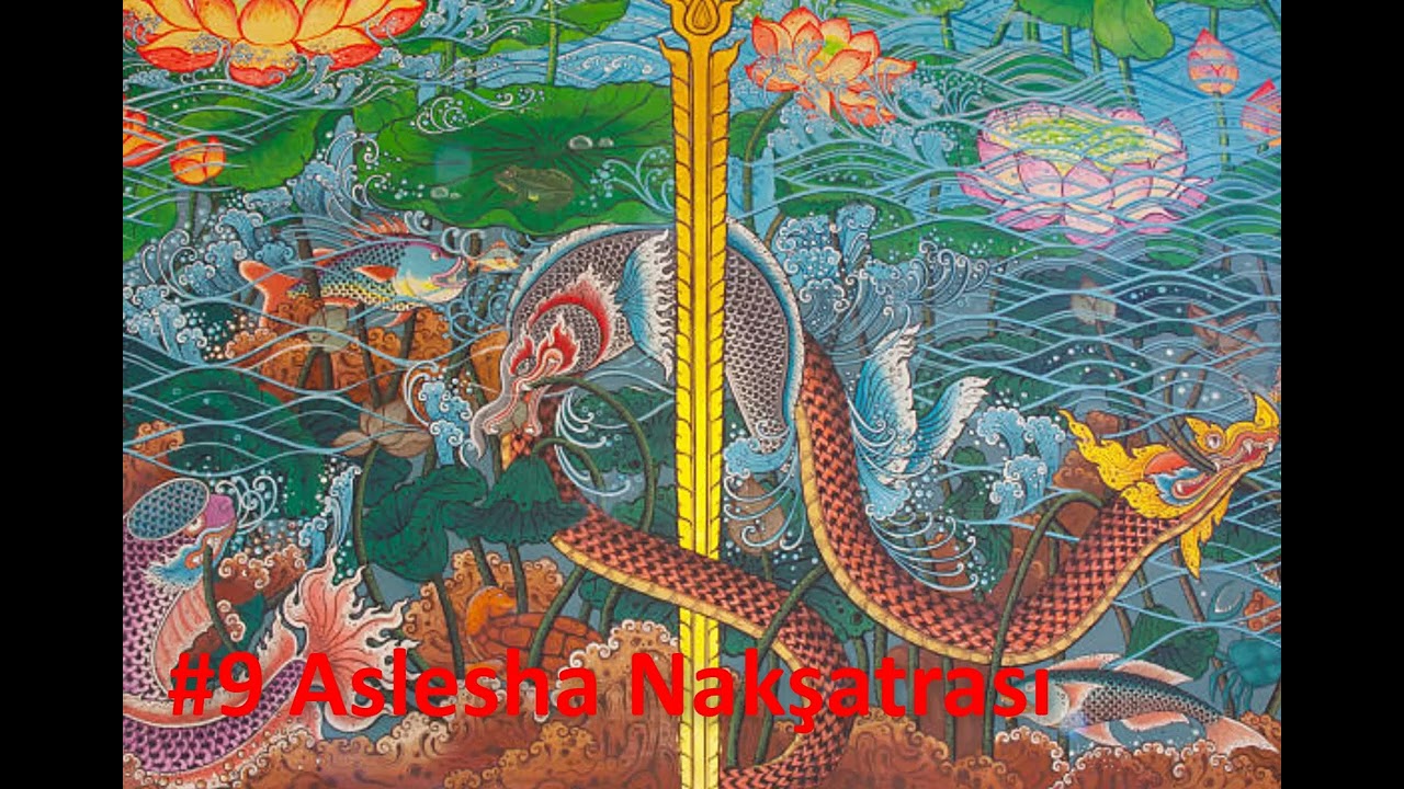Nakşatralar #9 Asleşa / Ashlesha Nakshatra