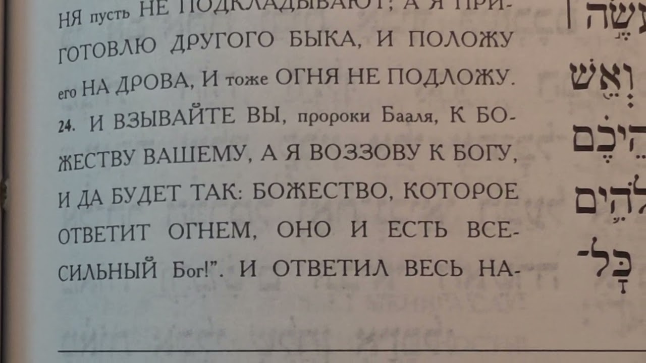 5 марта 2026 г.