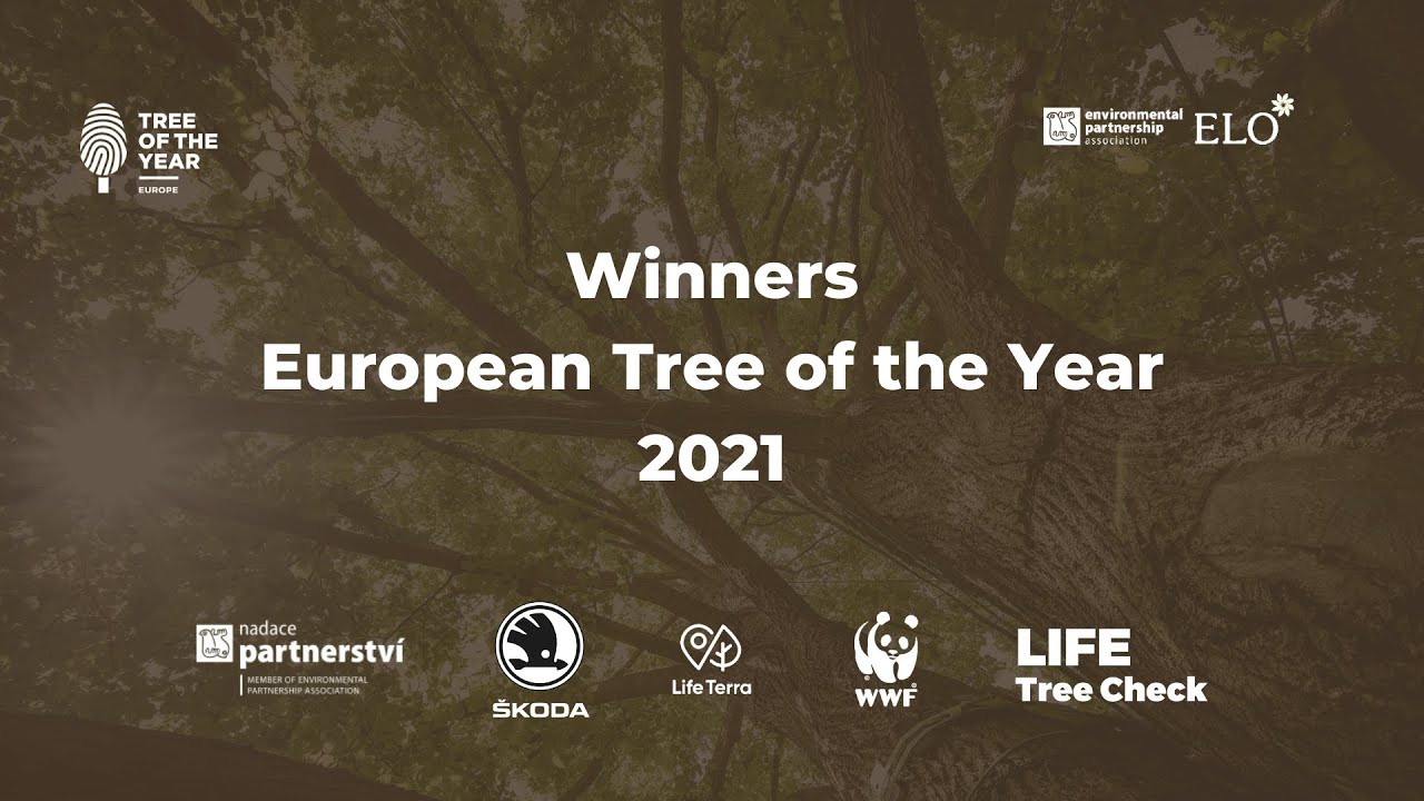 European Tree of the Year Award Ceremony