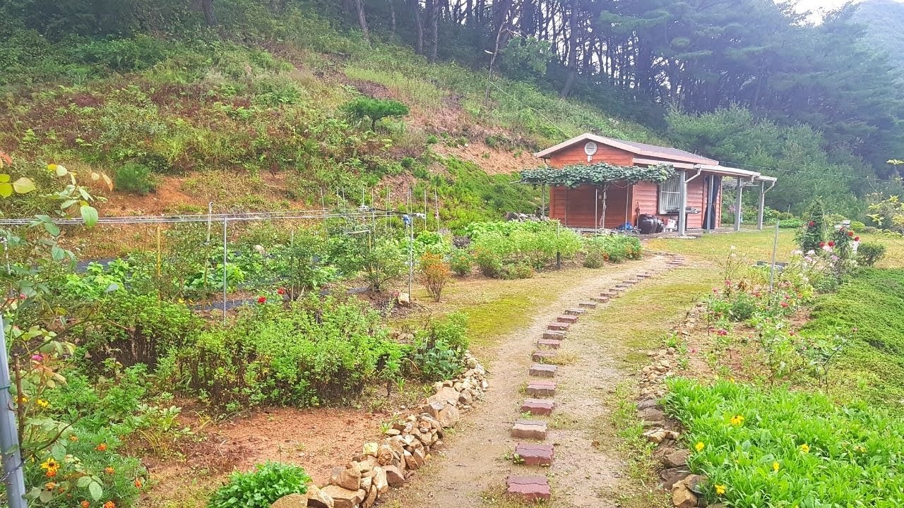 장수최고 고지대마을 //해발800고지 신덕산마을