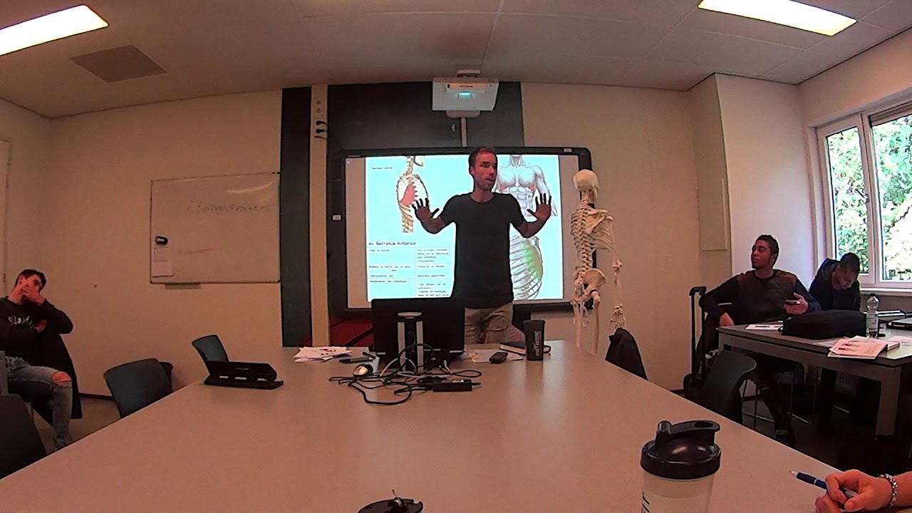 anatomie FitVak A Q5 les spieren romp