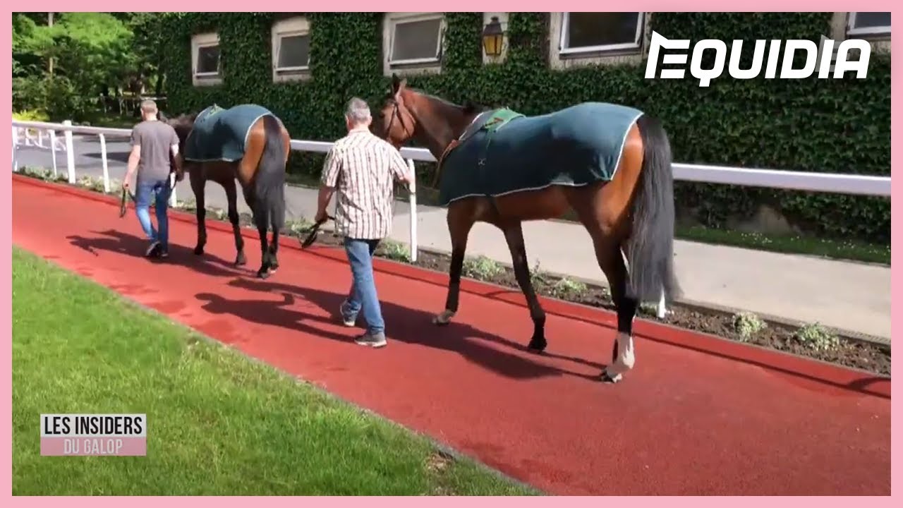 DANS LES COULISSES DE L'ÉCURIE AGA KHAN ! | Les Insiders du Galop