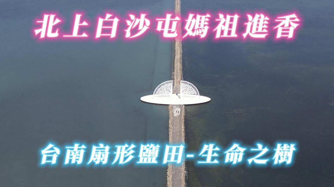 179. 台南扇形鹽田 - 生命之樹 #ws1030tw