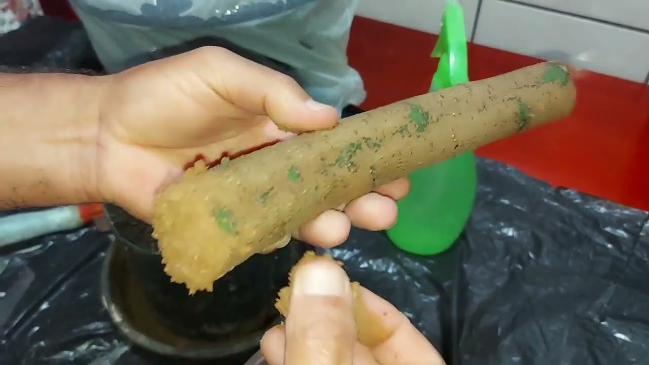 COLA E CANELA EM PÓ NO ENRAIZAMENTO DE ESTACA!!!