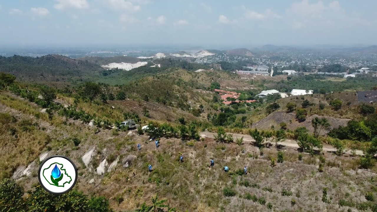 Aguas de Choloma realiza reforestación con árboles maderables en Merendón, Altos de La Victoria.