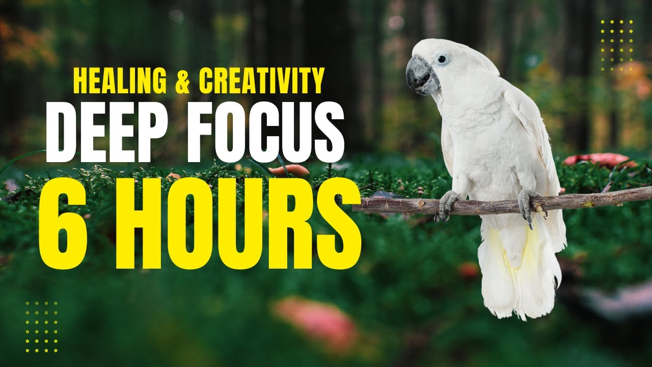 6-HOUR Flow State Music | Deep Focus, Healing & Creativity 🎧 Study, Work, Relax