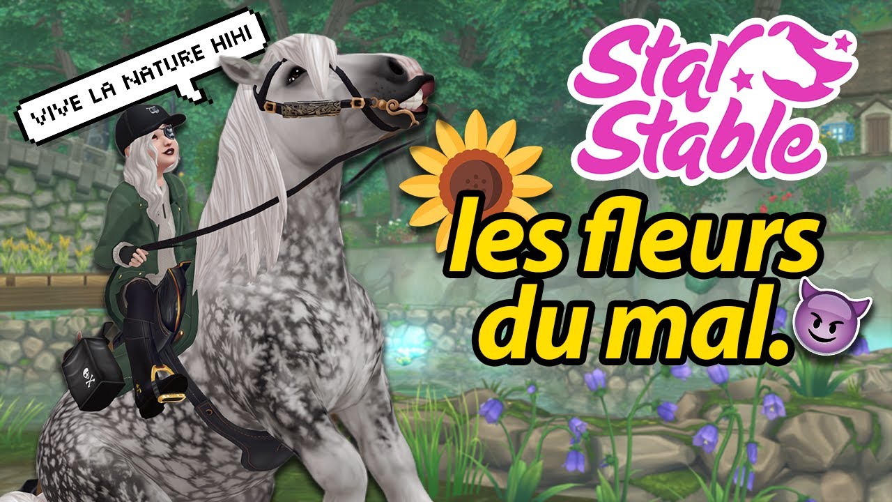 Découverte de la voie de la terre (boisé creux Valedale) | Star Stable - SSO