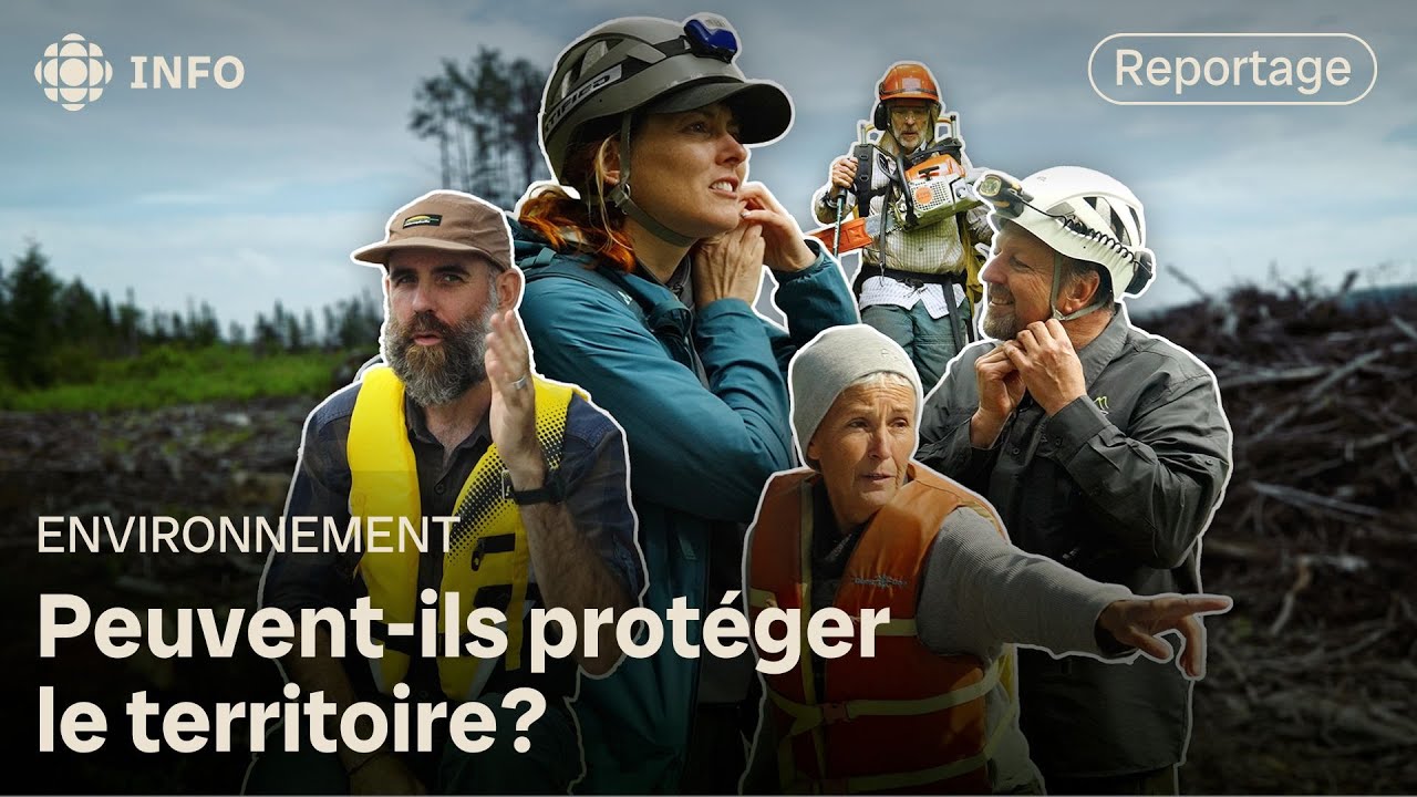 Aires protégées : des citoyens au front pour la forêt | La semaine verte