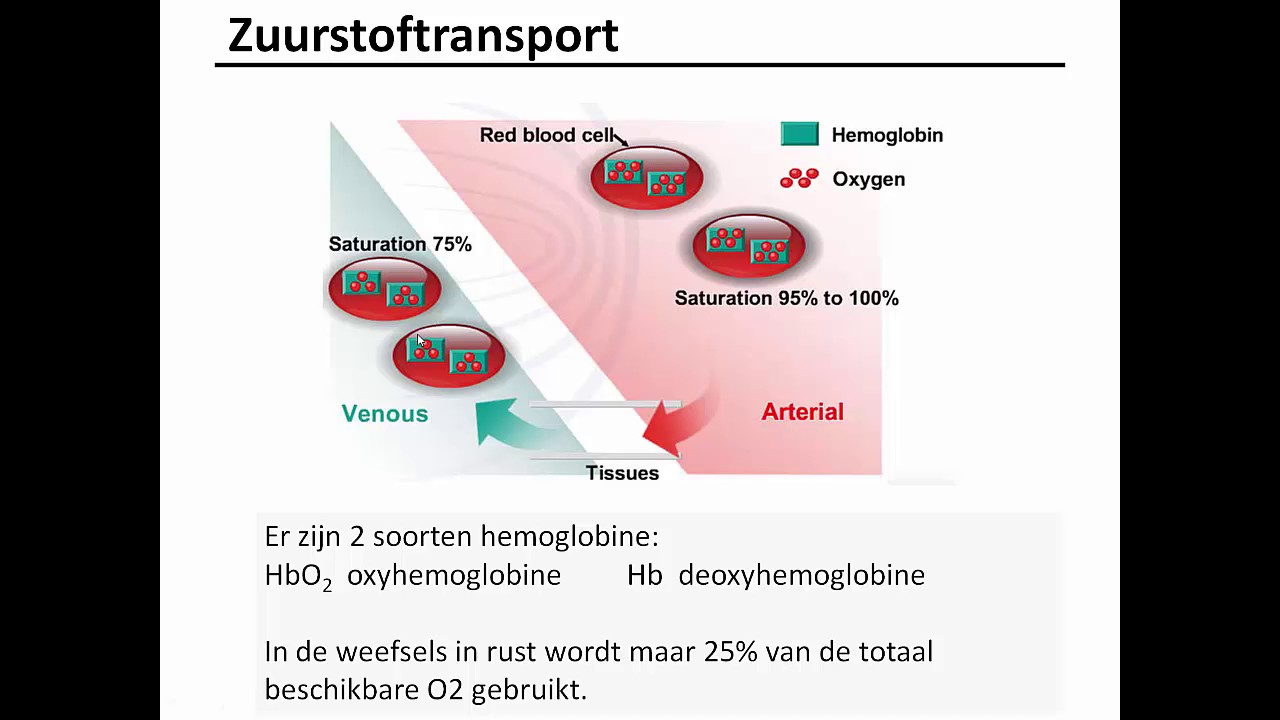 Longen -  gastransport