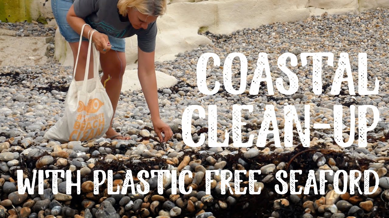 Coastal Clean-up with Plastic Free Seaford