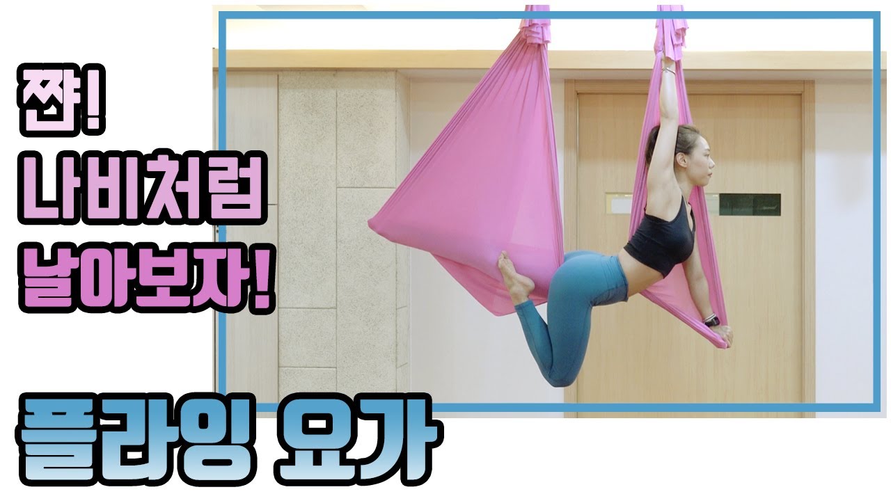 [플라잉요가] 해먹을 펼쳐 우아하게 나비처럼 날아볼 시간이예요~! 쉬운 서커스 영상입니다.