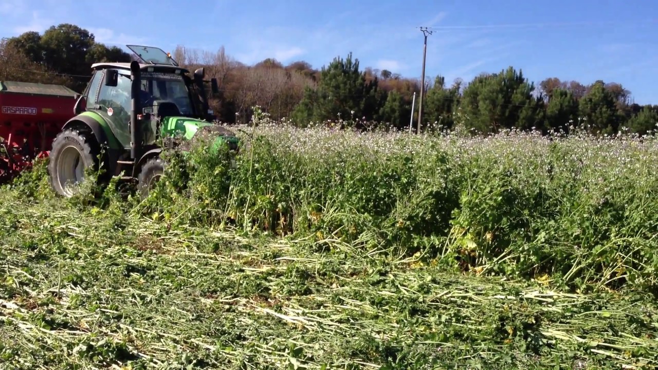 Semi d'orge 2017 en semi direct sur un couvert v&eacute;g&eacute;tal.