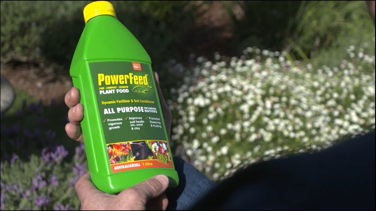 Outdoors Indoors - Kim Syrus with Seasol and PowerFeed