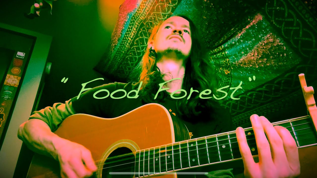 &ldquo;Food Forest&rdquo; ~ A Song for Tuning into a Brighter Present ~  seanti-aeris