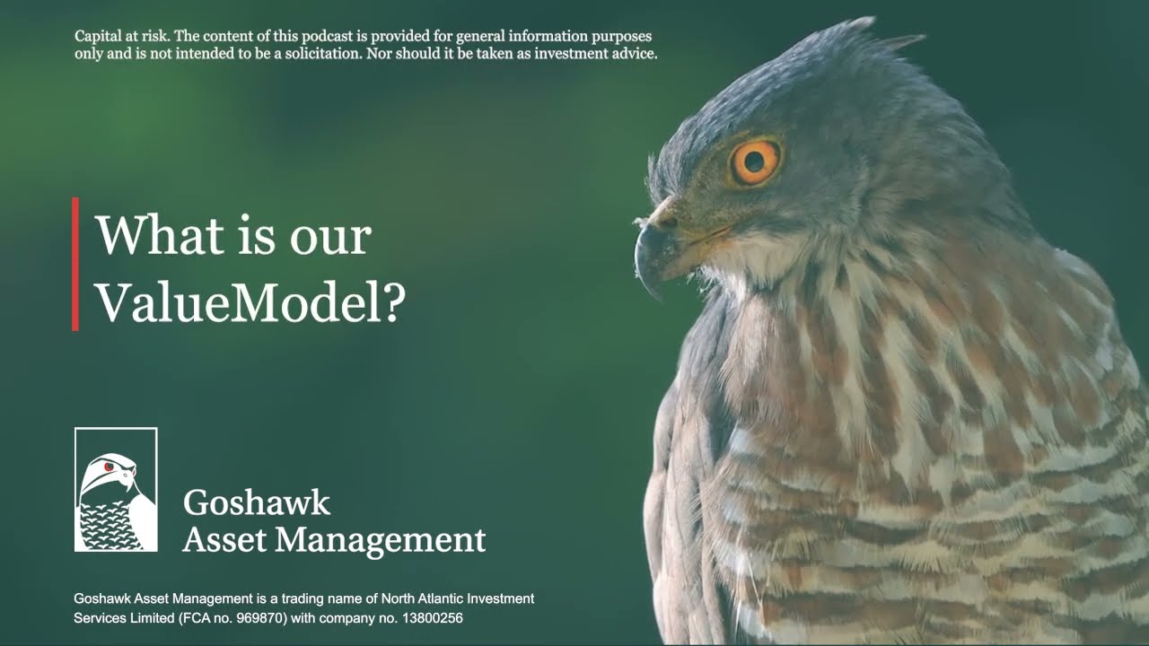 What is our ValueModel? | Goshawk Asset Management | Episode 4