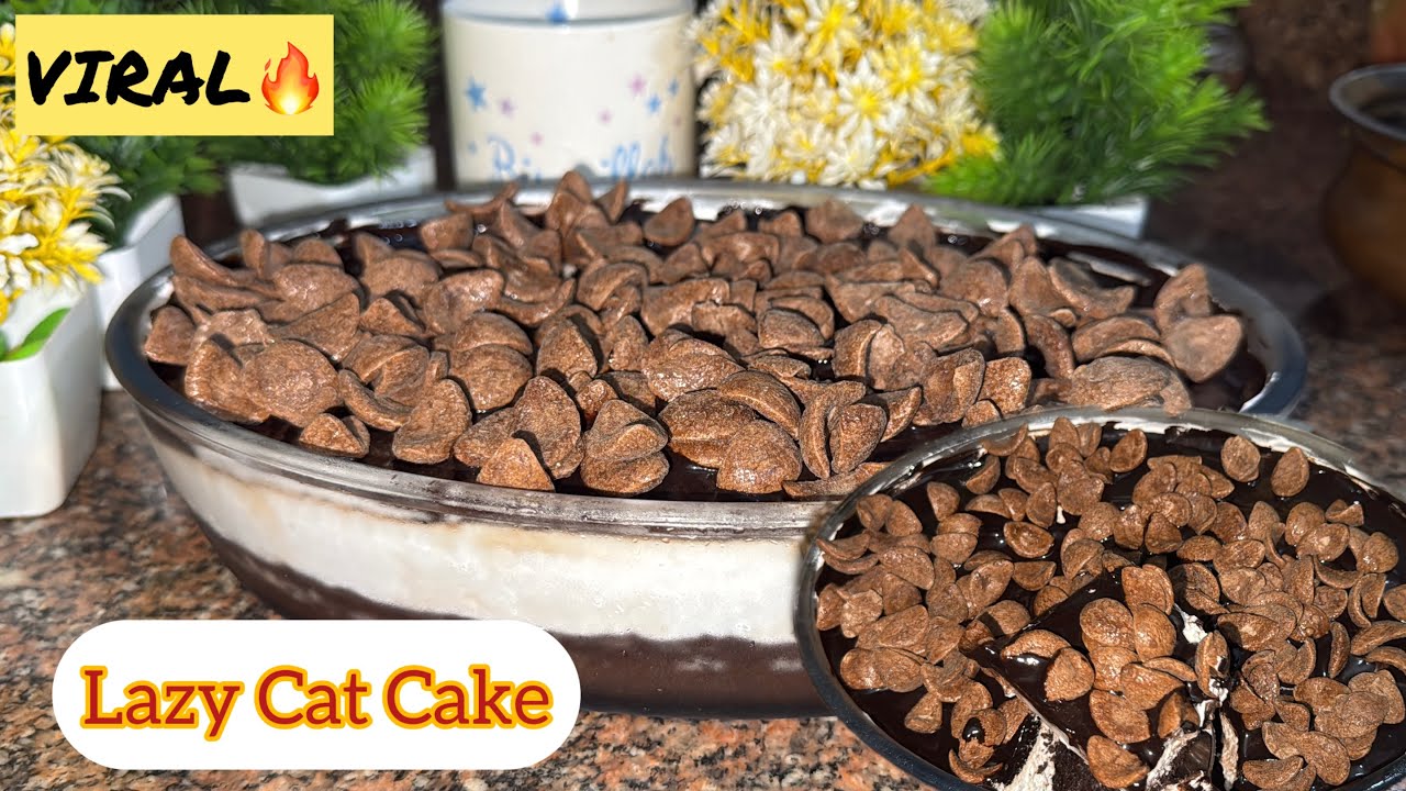 🔥Trending Viral Lazy Cat Cake |😋Easy recipe with Simple steps |chocolate cake dessert🤤 |