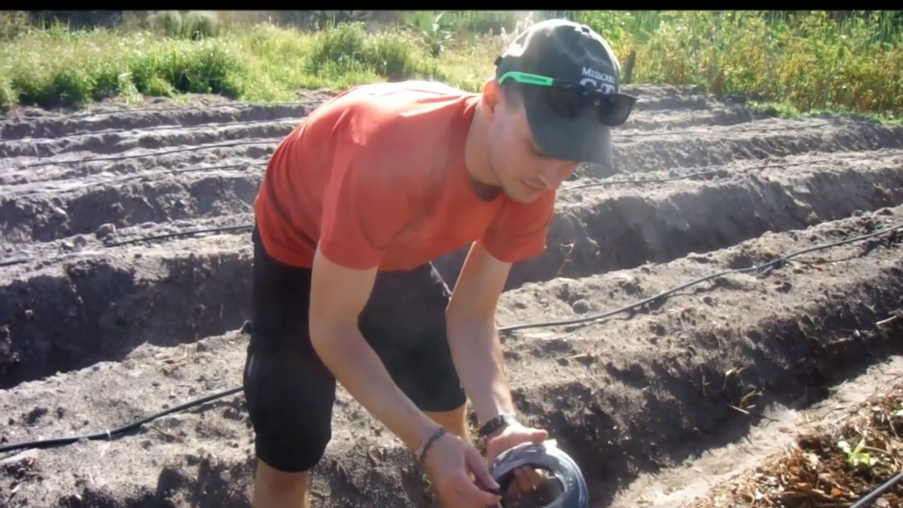 Drip Irrigation - USF Sustainable Development Engineering & Tampa Burmese Garden