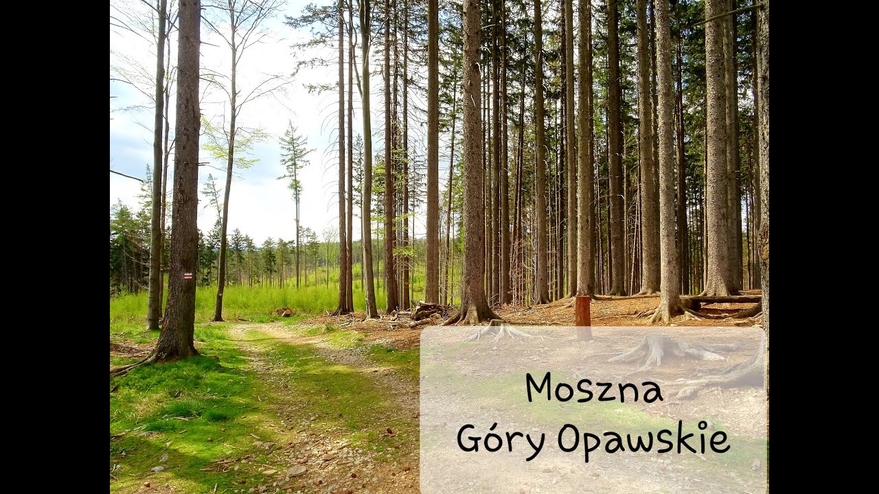 Góry Opawskie cz. 1 - Moszna, Głuchołazy, Przednia Kopa