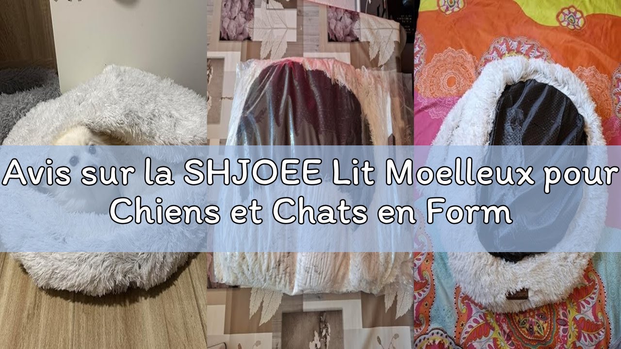 Avis sur la SHJOEE Lit Moelleux pour Chiens et Chats en Forme de Coquillage 70cm Coussin pour Chien