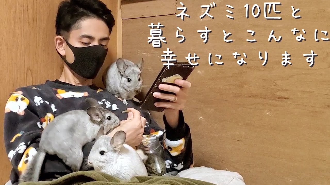 【ねずみ10匹と暮らす夫婦】ハロウィンの日のルーティン