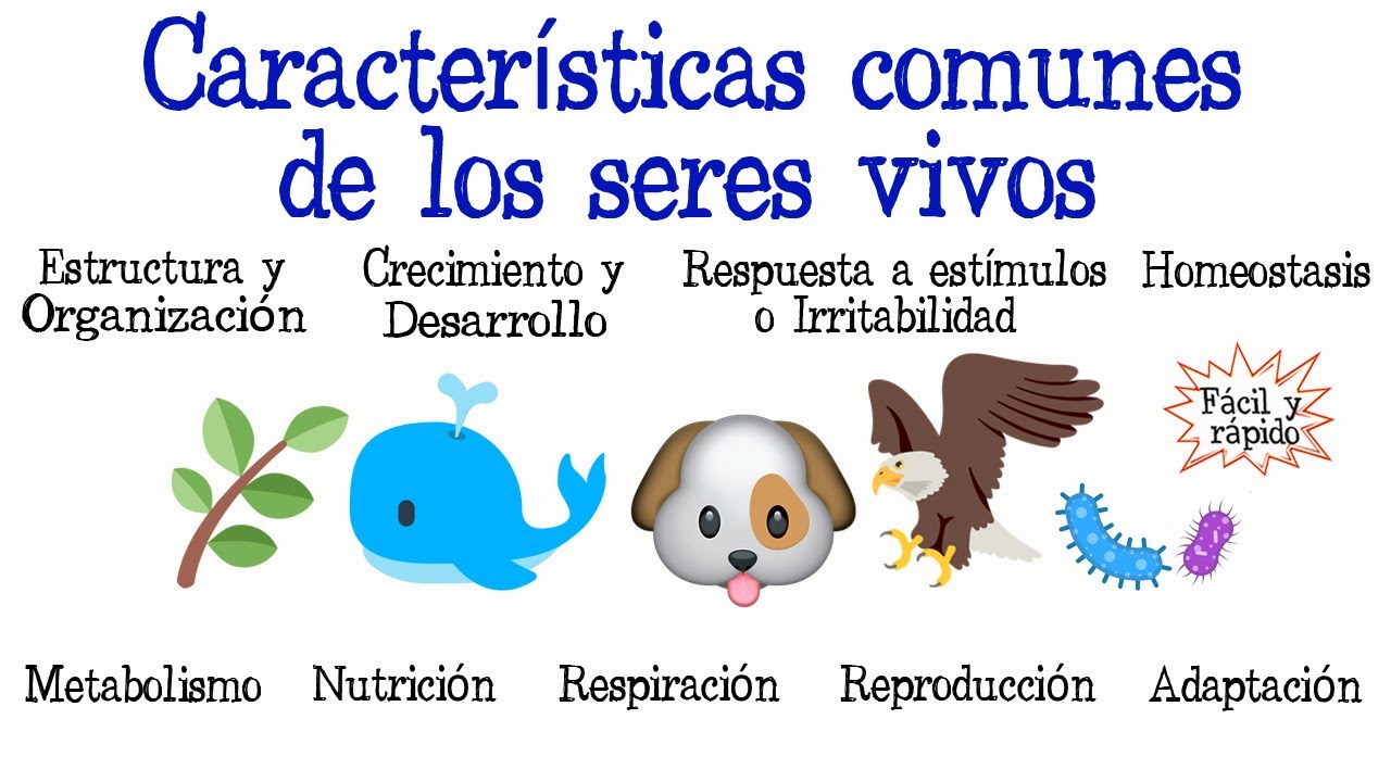 🐝Caracter&iacute;sticas comunes de los seres vivos🐠  [F&aacute;cil y R&aacute;pido] | BIOLOG&Iacute;A |