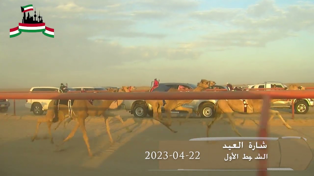 الشوط الأول   طوشة لـ ظفر بن ابراهيم 22 04 2023