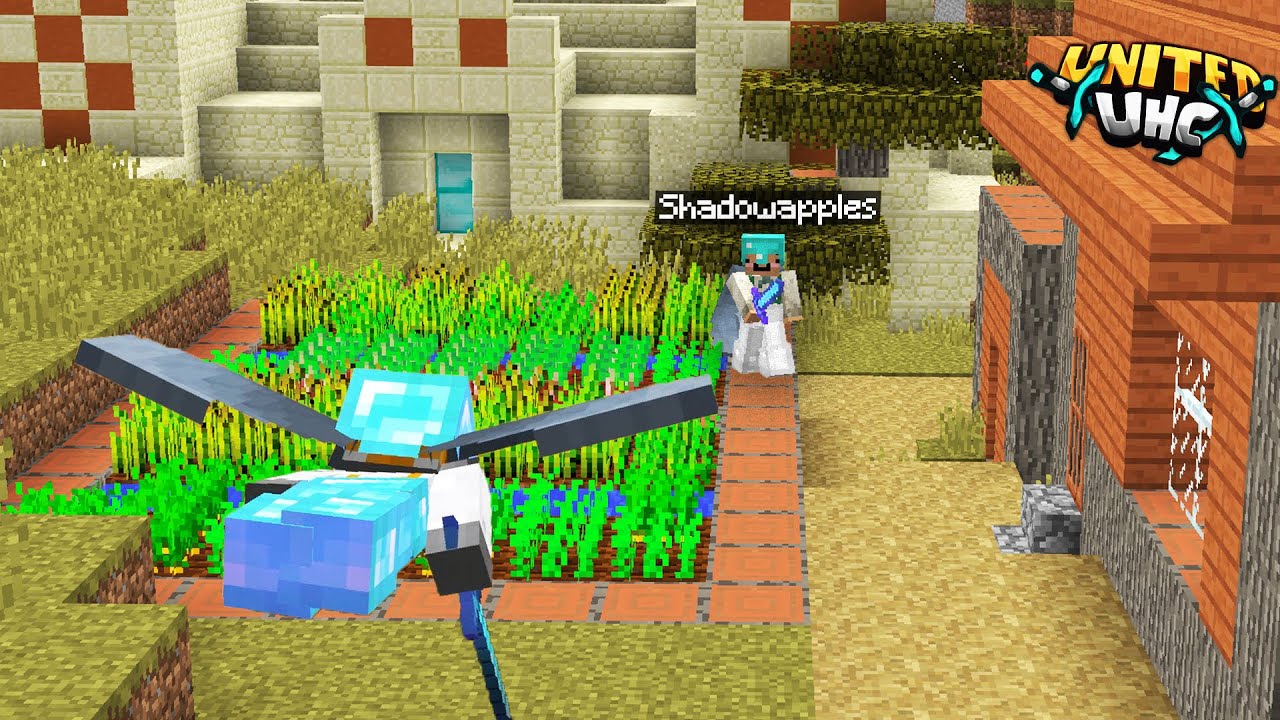 Elytra Surprise (he got scared..)