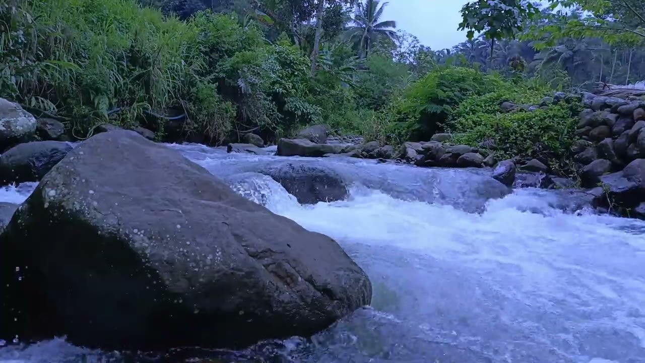 Mindful River Flow for Relaxation