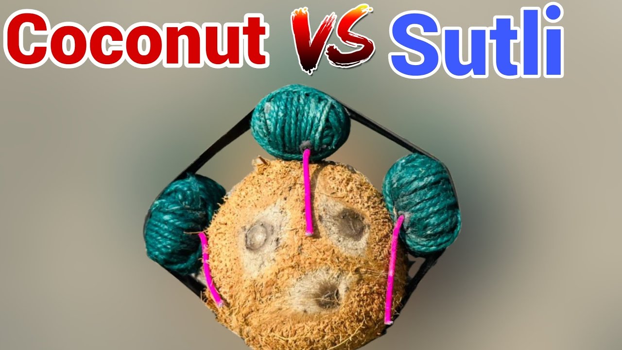 How Strong Is Coconut? - Green Vip ||Coconut VS Sutli Bomb ||Vip Vs Coconut ||