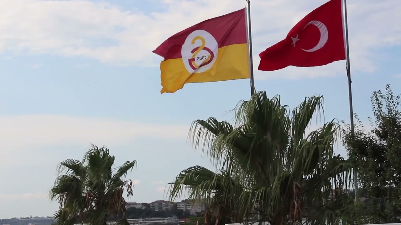 Gündüz Kılıç. Yavru Aslanara Özel