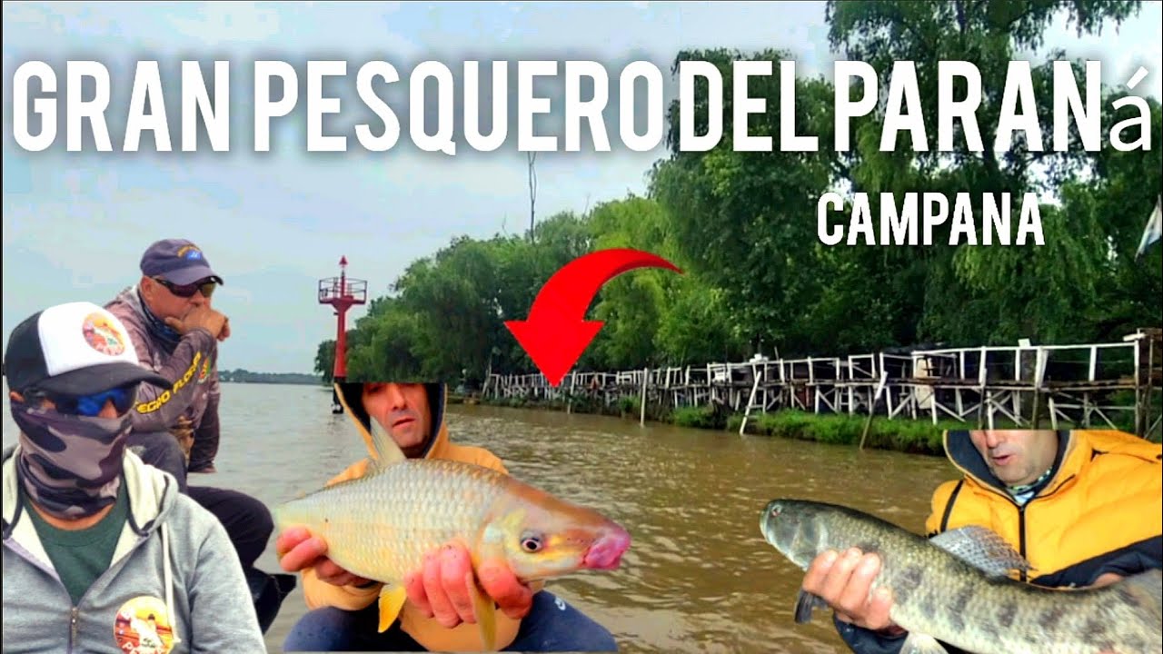 PESQUERO DEL NEGRO FLORES, HERMOSO LUGAR EN CAMPANA...