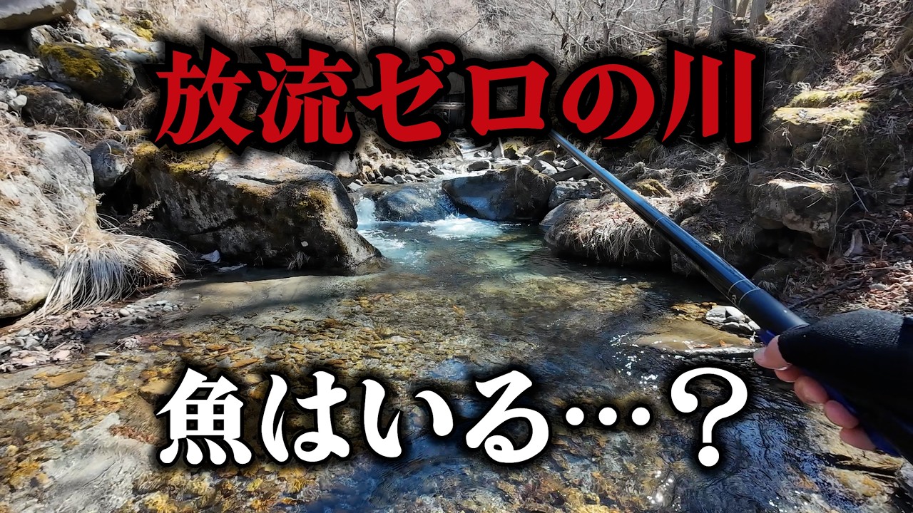 新しく見つけた漁協のない川。放流のない川に魚はいる？【渓流解禁】
