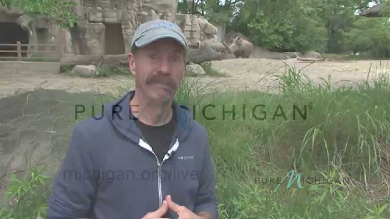 Pure Michigan Under the Radar Tour the Detroit Zoo