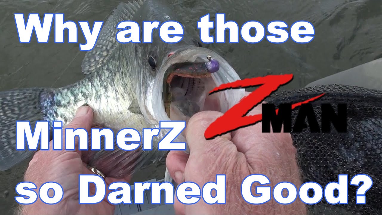 Why the MinnerZ (Mod) is so Good