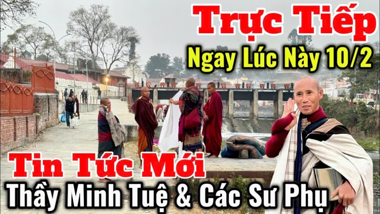 Trực Tiếp Tin Tức Mới Nhất Thầy Minh Tuệ & Các Sư Phụ Ngay Lúc Này 10/2 | Vấn Đề Visa 1 Năm Thế Nào?