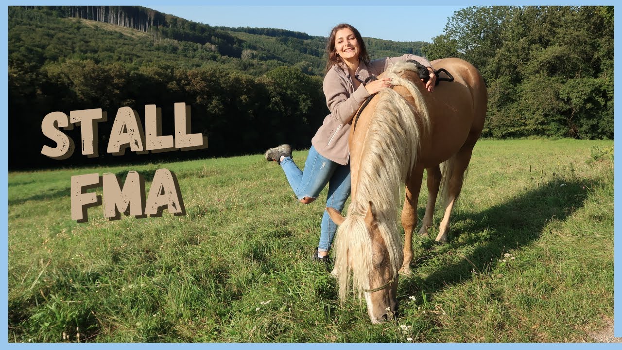 Stall FMA | Mit Jungpferd spazieren gehen | VLOG