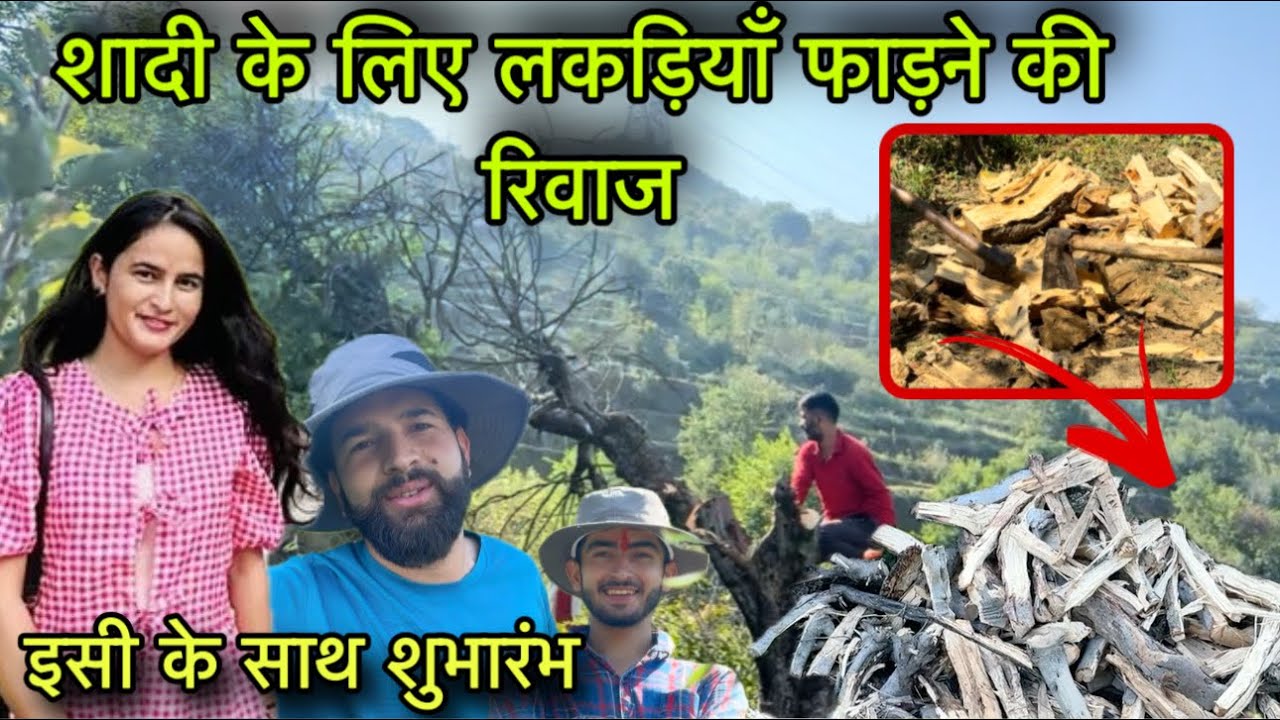 शादी के लिए कुछ इस तरह की जाती है लकड़िया || पूरा परिवार आ जाता है साथ || Pahadi culture || RB 