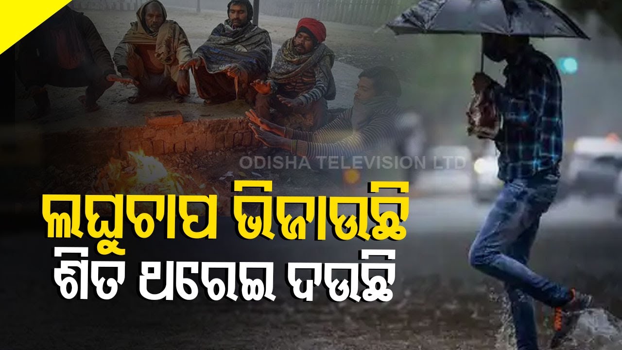 Fresh Low Pressure Over South Andaman Sea By Tomorrow | Yellow Warning In 9 Odisha Districts